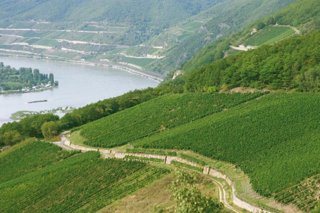 Hotel Kronenschloesschen Eltville am Rhein Екстер'єр фото